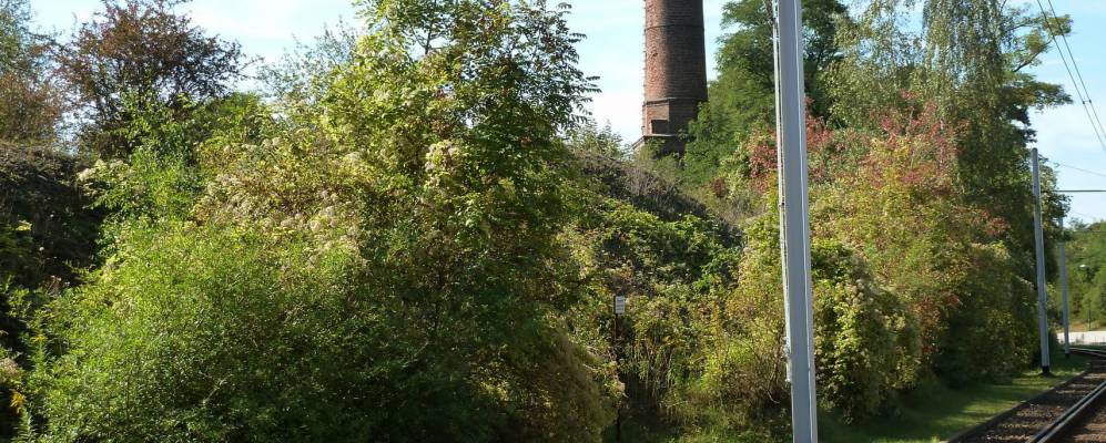 
            Фотография Бад-Дюрренберга