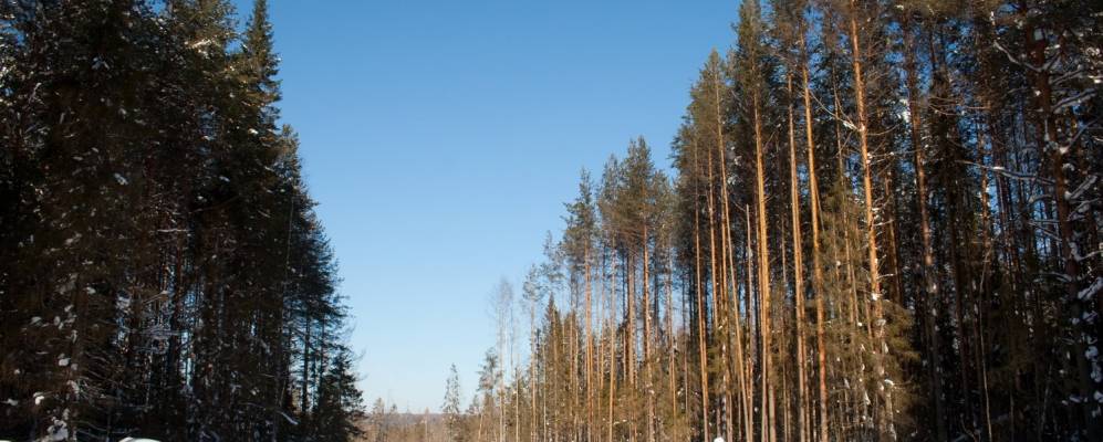 
            Фотография Викуленок