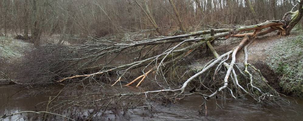 
            Фотография Орлово