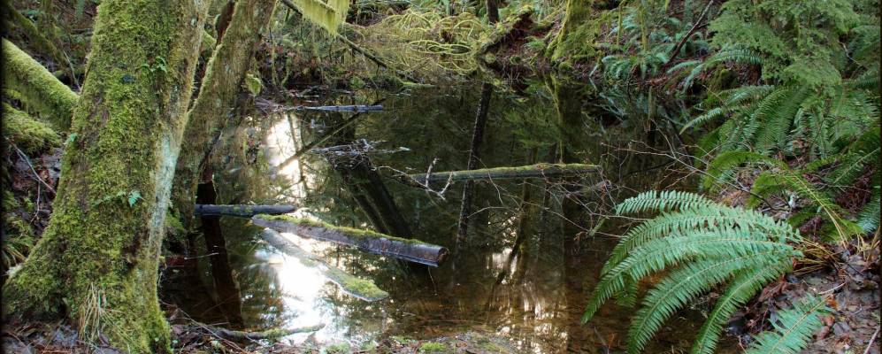 
            Фотография Садден Велли