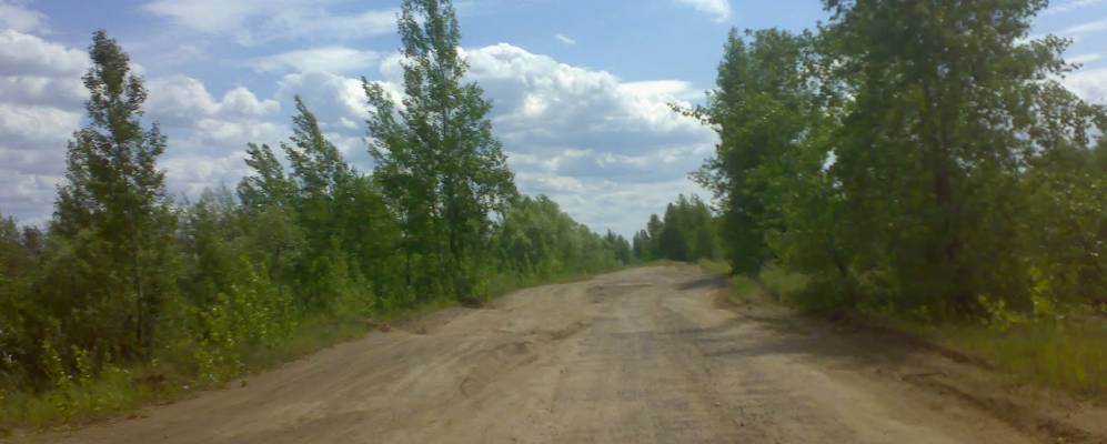 Фотография Березовой Гривы