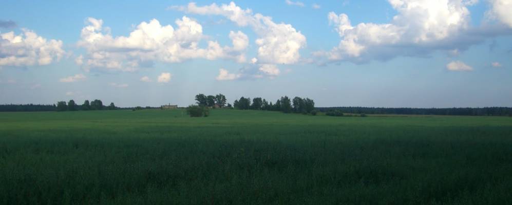 
            Фотография Пронского