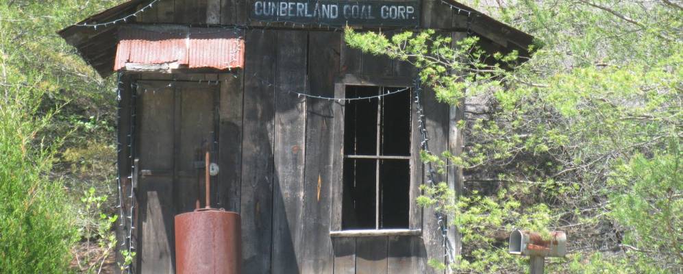 
            Фотография Данлапа