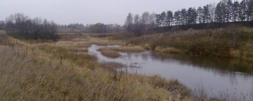 
            Фотография Жуково