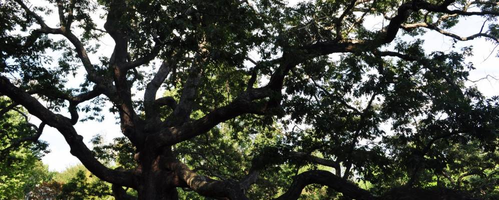 
            Фотография Норт-Гранби