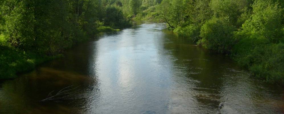 
            Фотография Моломы