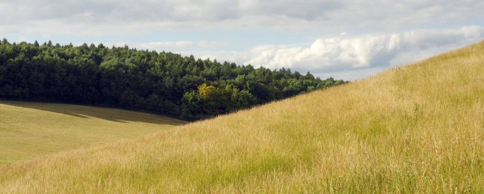 
            Фотография Сарратта