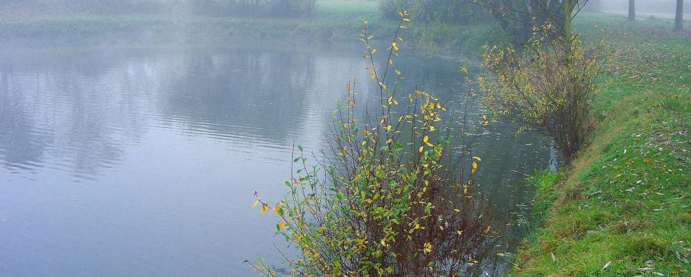 
            Фотография Лонвика