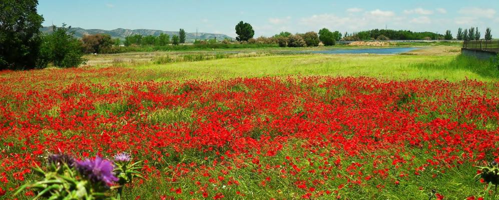 
            Фотография Villarta de San Juan