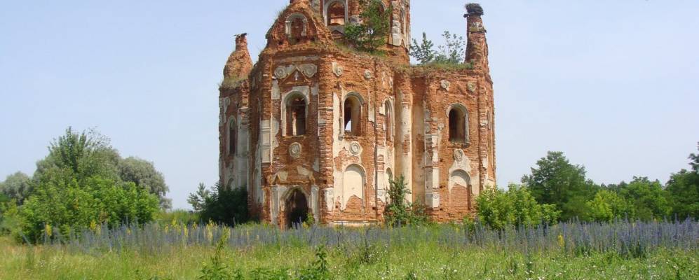 
            Фотография Красного Бора