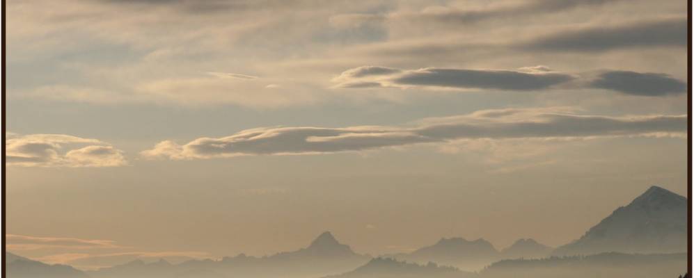 
            Фотография Груба