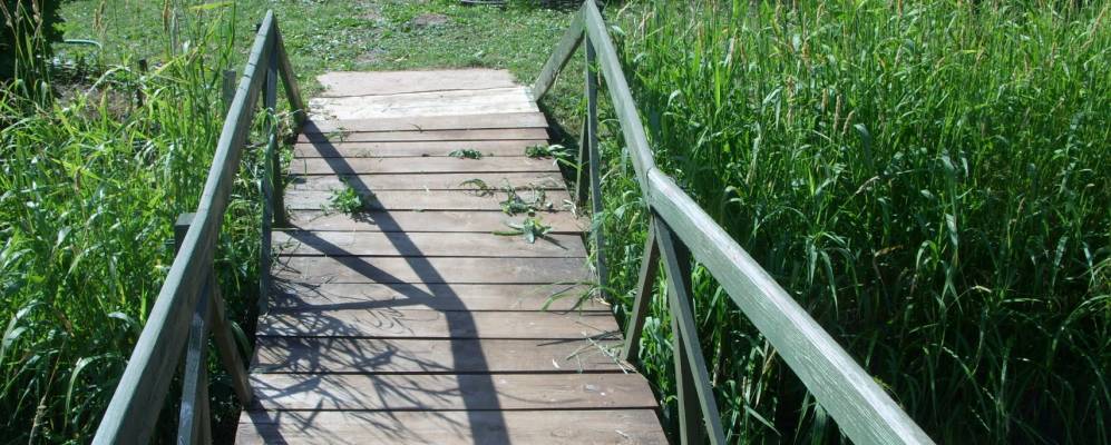 Фотография Верх-Юга