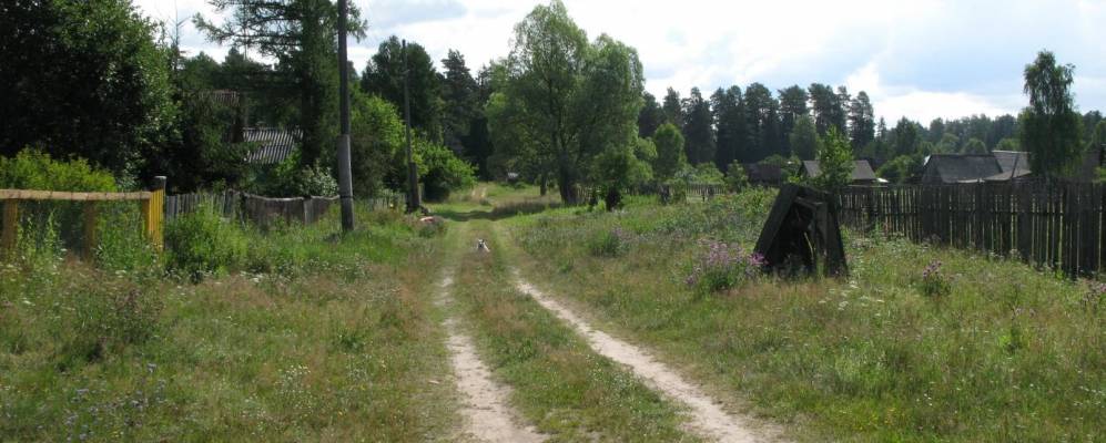 
            Фотография Черемаса