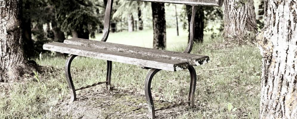 
            Фотография Тель