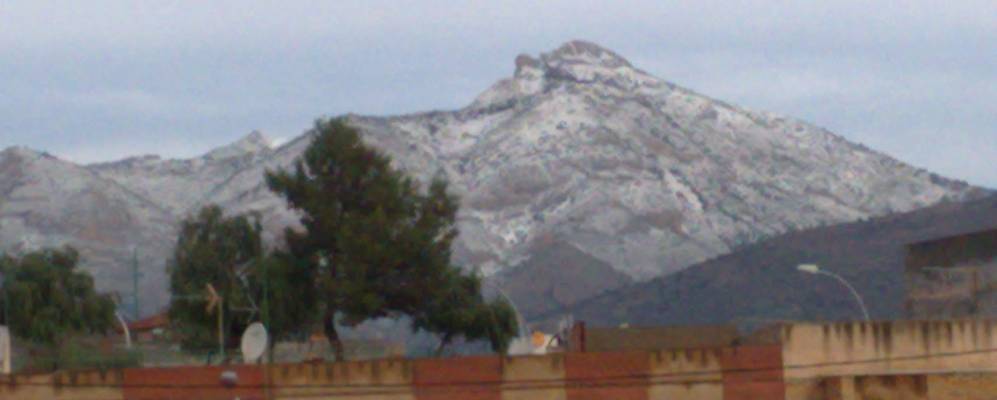 
            Фотография Агоста