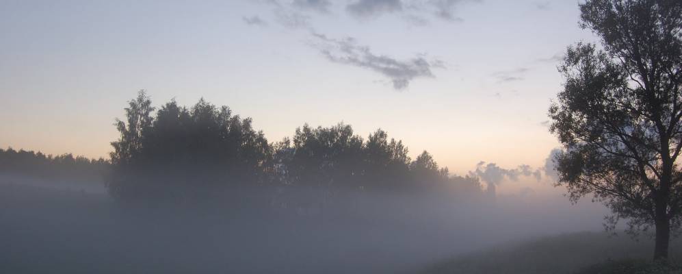 
            Фотография Кокорекино