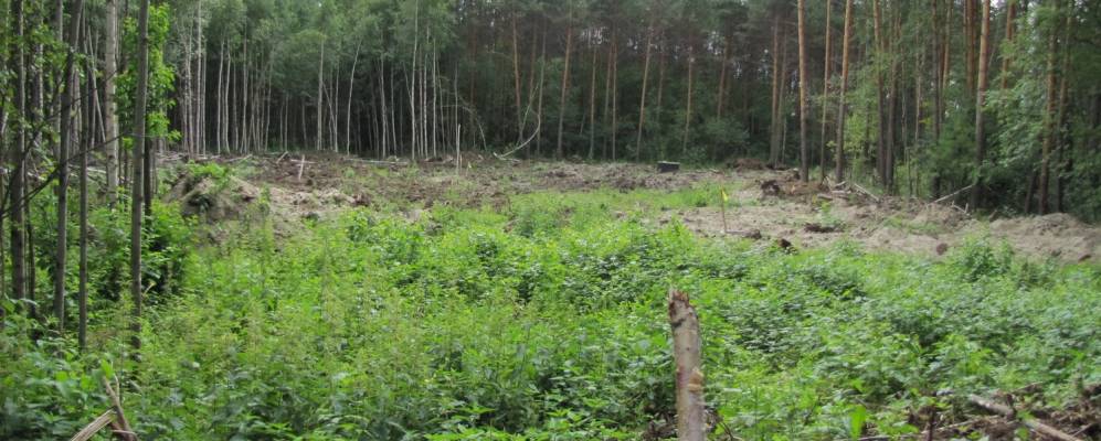 
            Фотография Джержинского