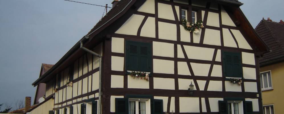 
            Фотография Данмари