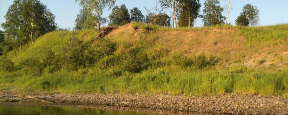 
            Фотография Конево