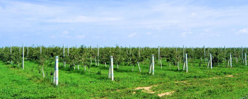 
            Фотография деревни Битевцы