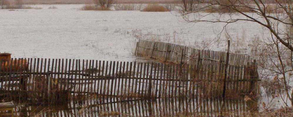 
            Фотография Ивняг