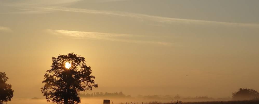 
            Фотография Фернхилл Хитса