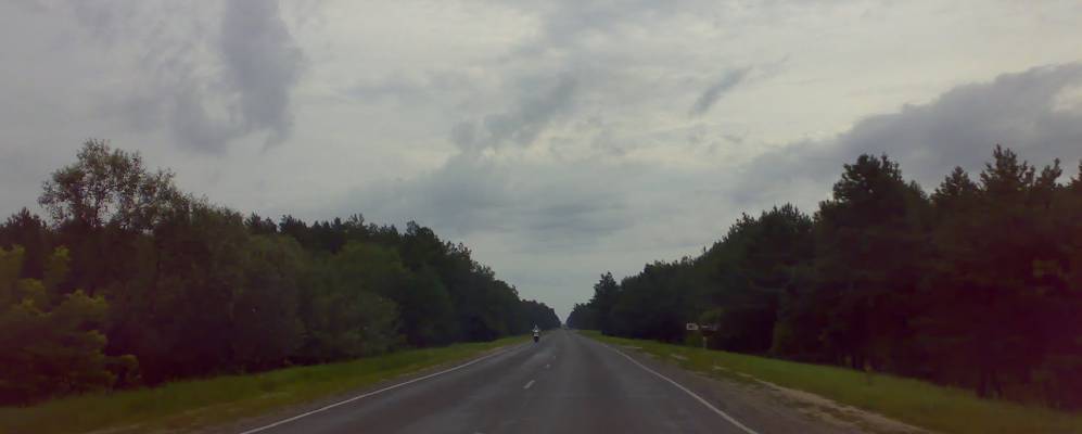 
            Фотография Викова