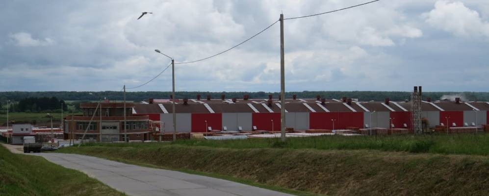 
            Фотография Данилевского