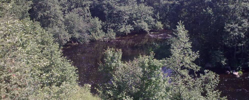 
            Фотография Хорино