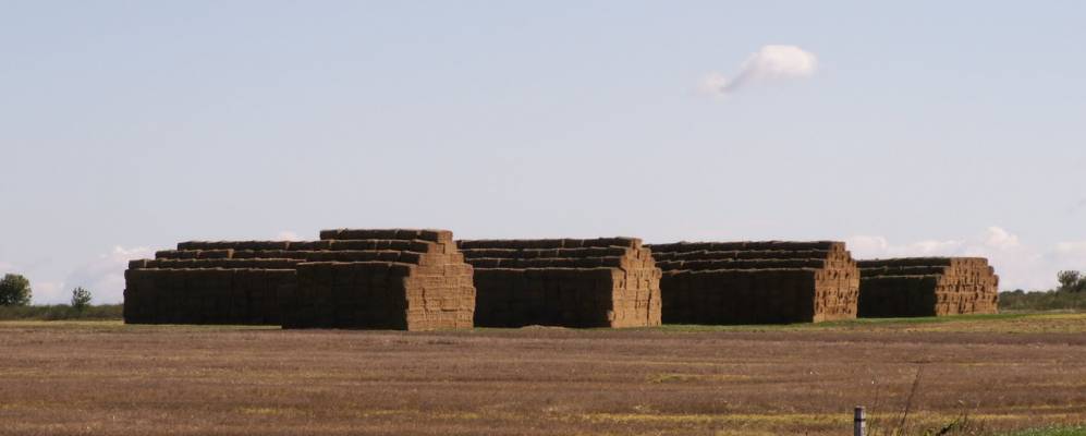 
            Фотография Чибисовки