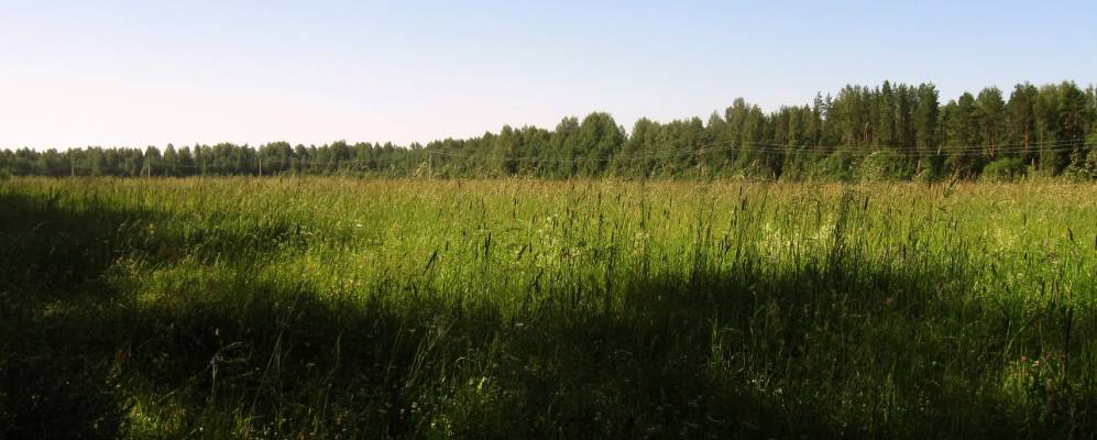 
            Фотография Ивахново