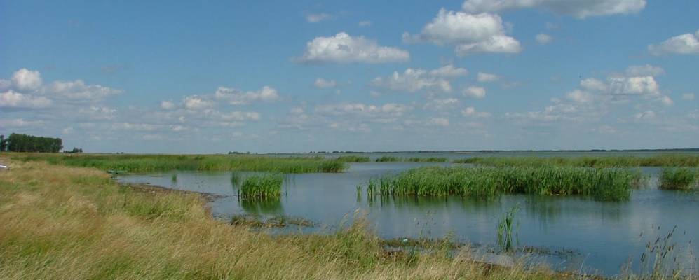 
            Фотография Шимаковки