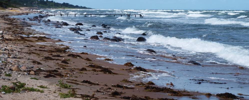 
            Фотография Udsholt Sand