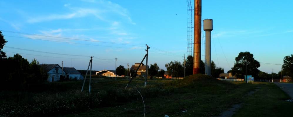 
            Фотография Бохоников