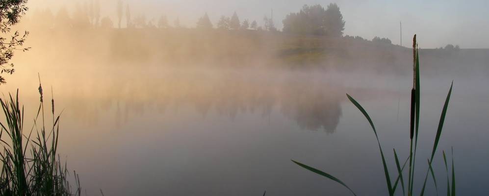 
            Фотография Крещенских Выселок