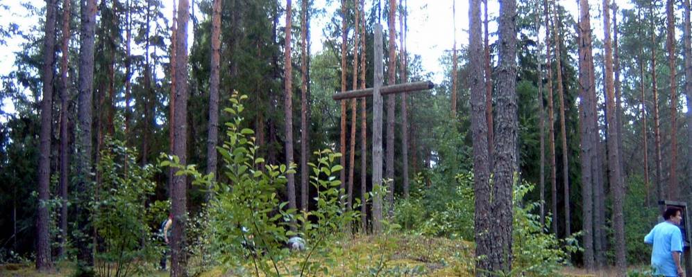 
            Фотография Яшино