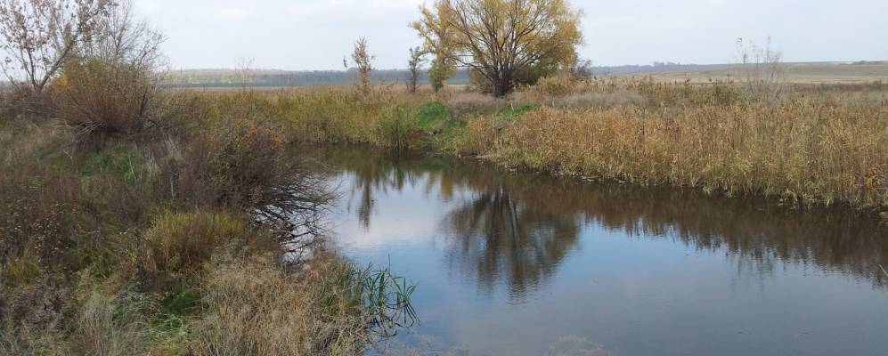 
            Фотография Полузорья