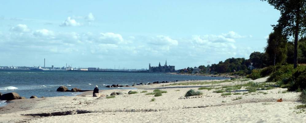 
            Фотография Хеллебека