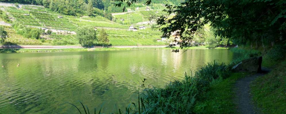 
            Фотография Канзолино