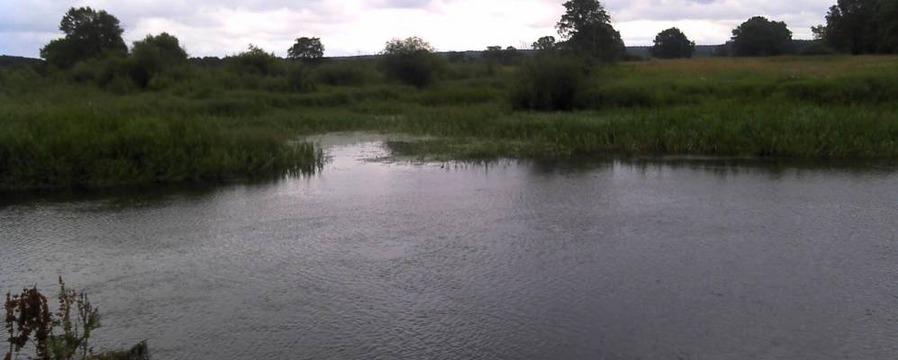 Фотография Иницы