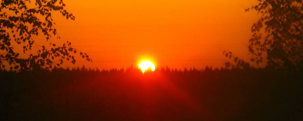 
            Фотография Соболево