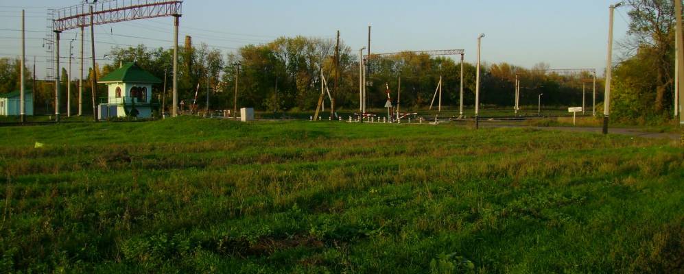 Фотография Фисуны