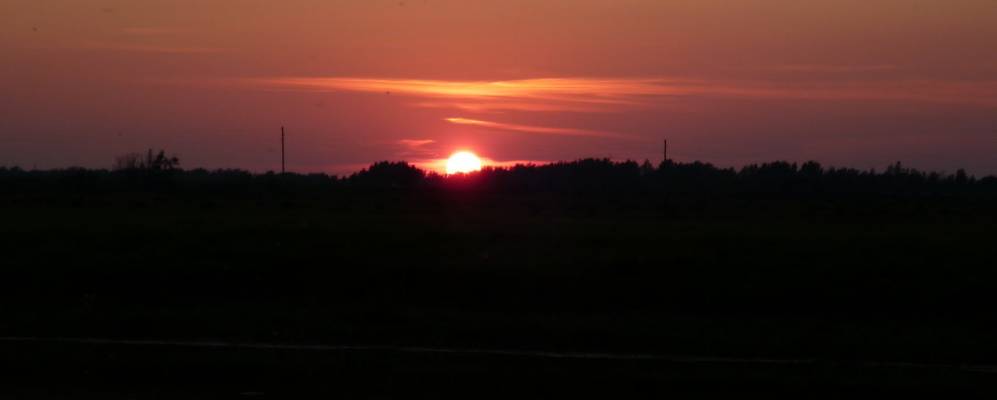 
            Фотография Осиновы