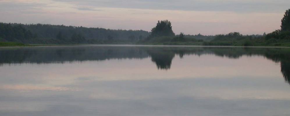 Фотография Зубарихи