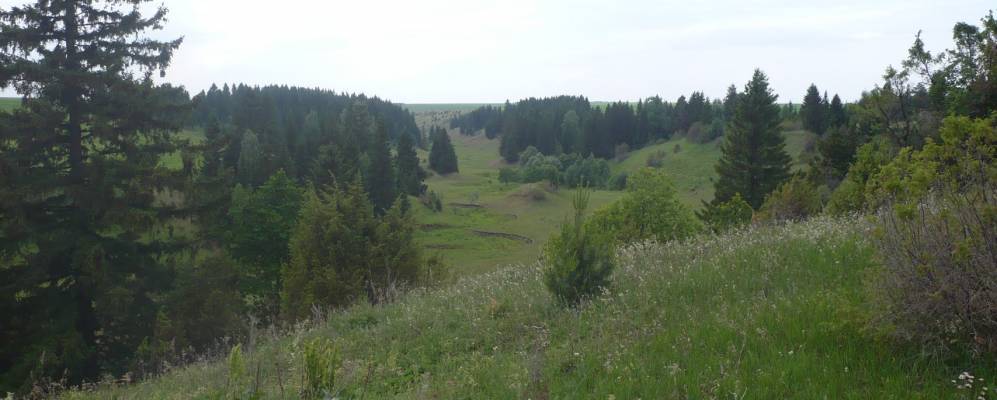 
            Фотография Иштугана