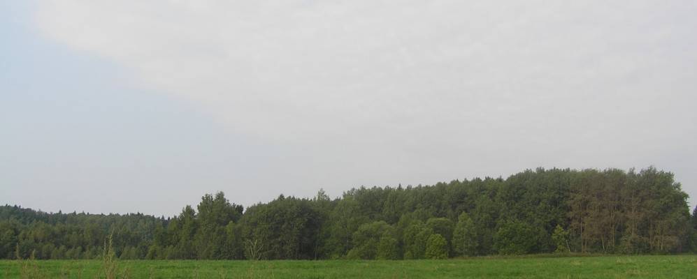 
            Фотография Истомино