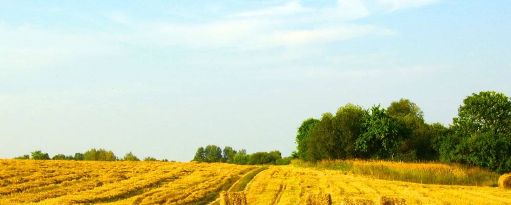 
            Фотография Загорья