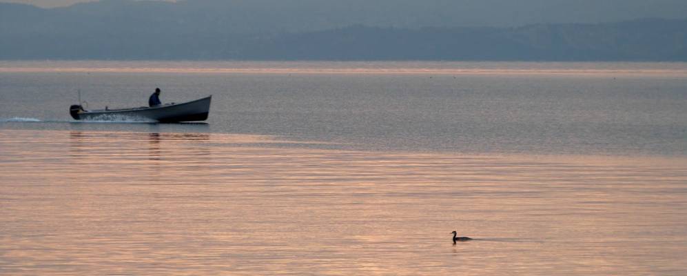 
            Фотография Гарды