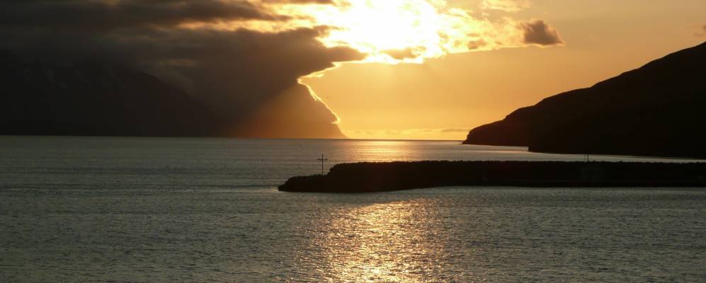 Фотография Гренивика