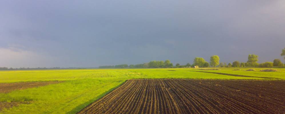 
            Фотография Новопетровского